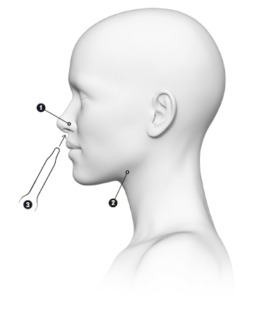 OTORHINOLARYNGOLOGIE