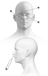 OTORHINOLARYNGOLOGY 7